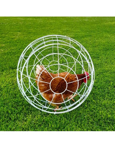 ESFERA PARA GALLINAS GAUN - Ø 55 CM