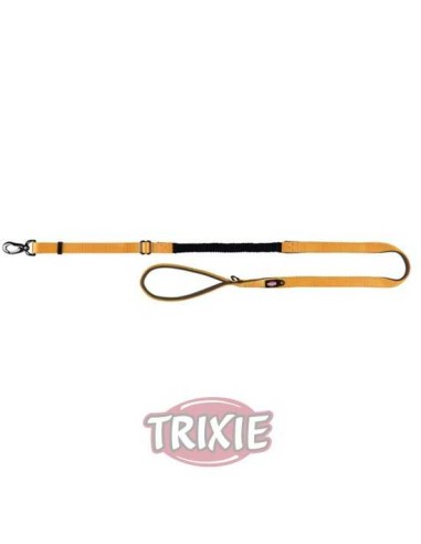 CORREA AMORTIGUADOR EXPERIENCE TRIXIE
