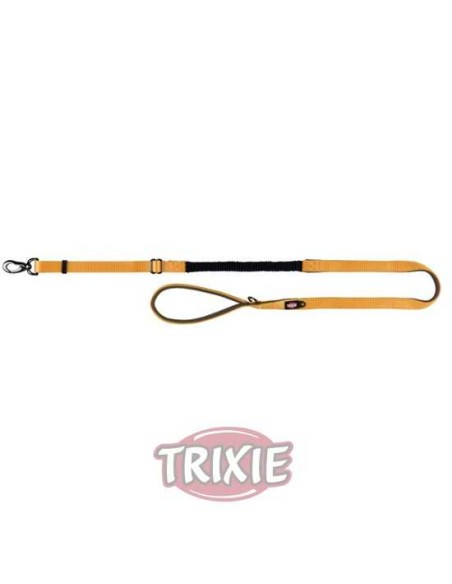 CORREA AMORTIGUADOR EXPERIENCE TRIXIE