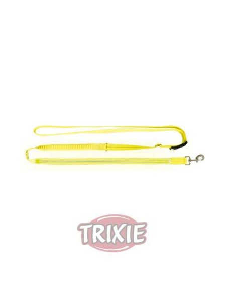CORREA CORRER FLASH USB TRIXIE - AMARILLO