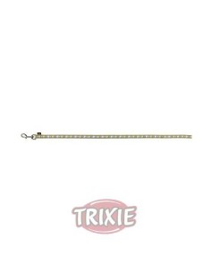 CORREA MODERN ART BLOOMS TRIXIE