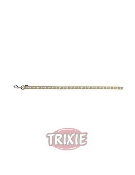 CORREA MODERN ART BLOOMS TRIXIE