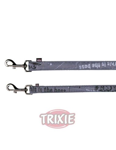 CORREA ART THIS BOSS PLATEADA TRIXIE