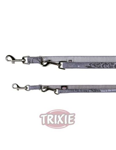 RAMAL ART THIS BOSS PLATEADA TRIXIE