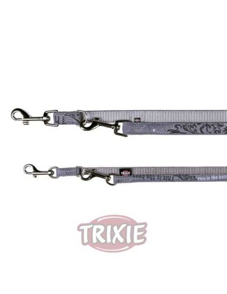 RAMAL ART THIS BOSS PLATEADA TRIXIE