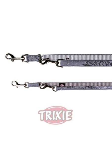 RAMAL ART THIS BOSS PLATEADA TRIXIE