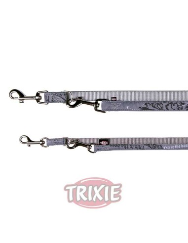 RAMAL ART THIS BOSS PLATEADA TRIXIE