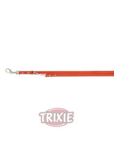 RAMAL BASIC TRIXIE 2