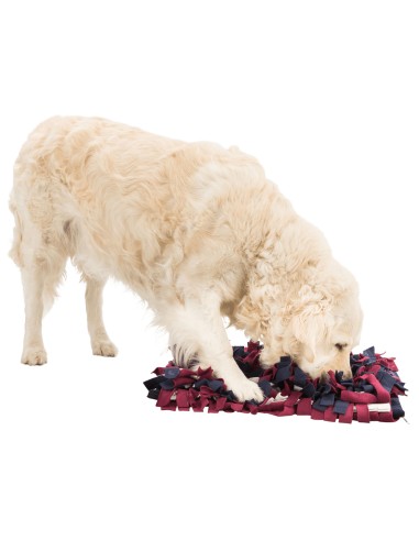 ALFOMBRA ACTIVITY PARA OLFATEAR TRIXIE - 50 X...