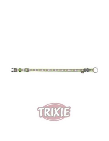 COLLAR MODERN ART BLOOMS TRIXIE