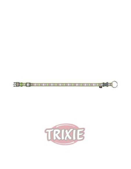 COLLAR MODERN ART BLOOMS TRIXIE