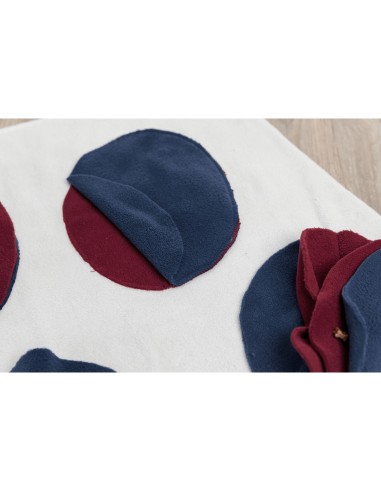 ALFOMBRA PARA OLFATEAR DOG ACTIVITY 70 X 70CM...