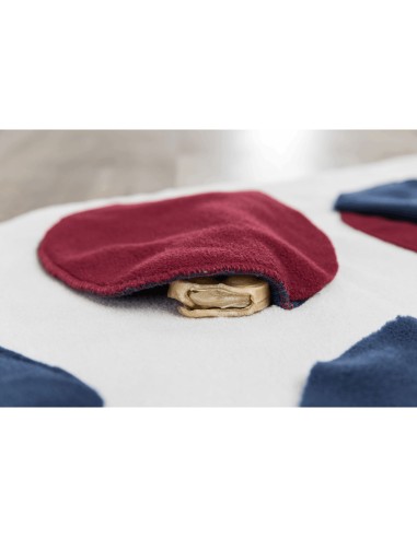 ALFOMBRA PARA OLFATEAR DOG ACTIVITY 70 X 70CM...