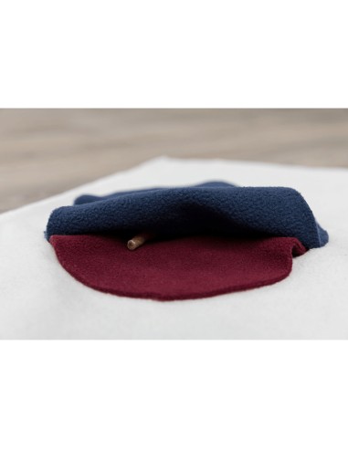 ALFOMBRA PARA OLFATEAR DOG ACTIVITY 70 X 70CM...