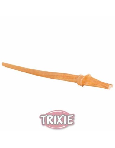 NERVIO DE TORO TRIXIE