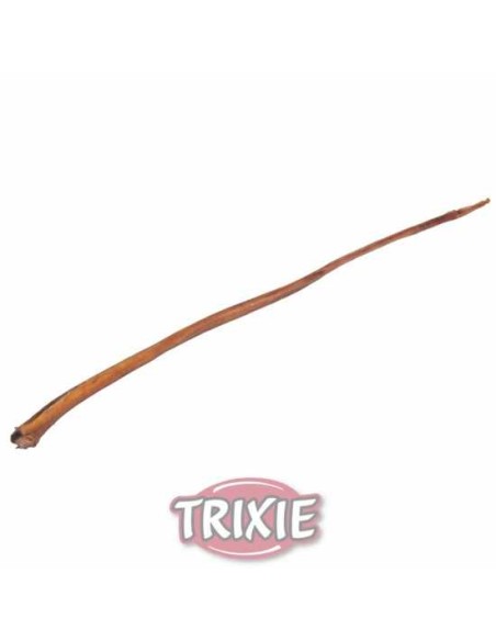 NERVIO DE TORO TRIXIE