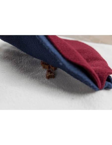 ALFOMBRA PARA OLFATEAR DOG ACTIVITY 70 X 70CM TRIXIE - 70 X 70 CM