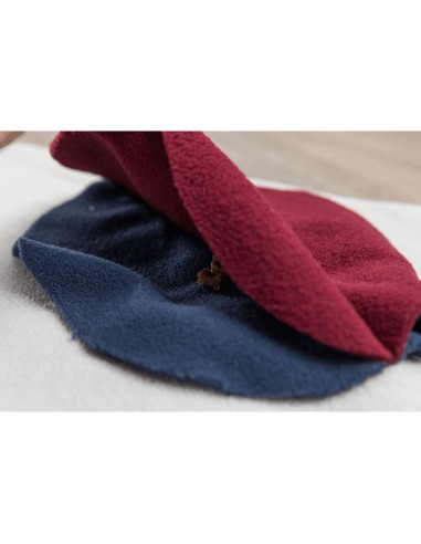 ALFOMBRA PARA OLFATEAR DOG ACTIVITY 70 X 70CM...