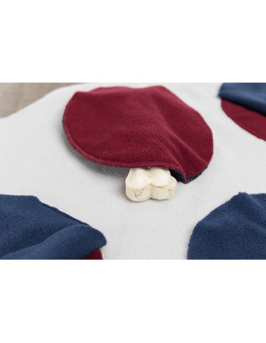 ALFOMBRA PARA OLFATEAR DOG ACTIVITY 70 X 70CM...