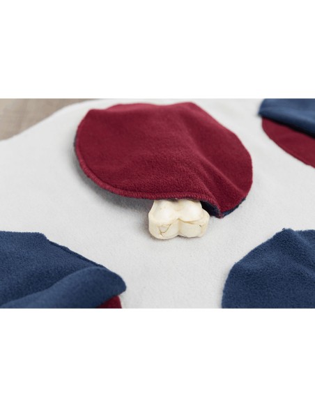 ALFOMBRA PARA OLFATEAR DOG ACTIVITY 70 X 70CM TRIXIE - 70 X 70 CM