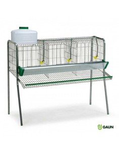 BATERÍA PONEDORAS 3 DEPARTAMENTOS GAUN