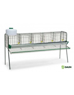 BATERÍA PONEDORAS 5 DEPARTAMENTOS GAUN