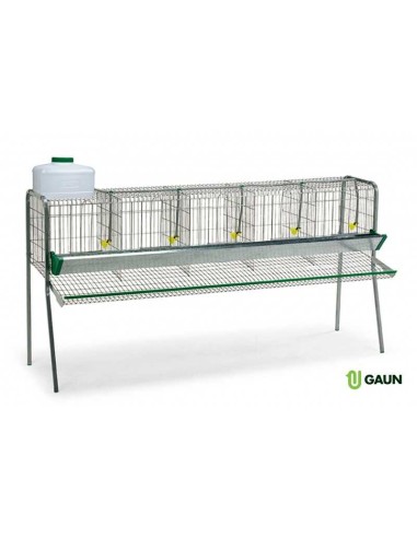 BATERÍA PONEDORAS 5 DEPARTAMENTOS GAUN