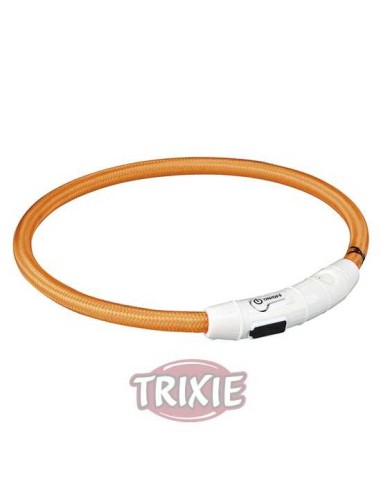 ARO CON LUZ FLASH USB TRIXIE