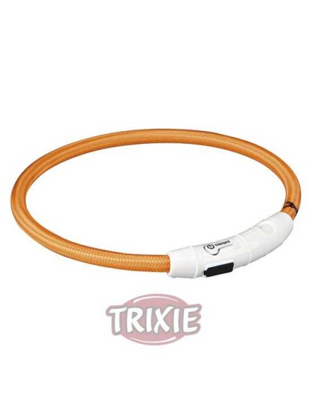 ARO CON LUZ FLASH USB TRIXIE