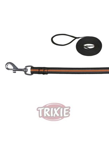 CORREA DE RASTREO FUSION TRIXIE