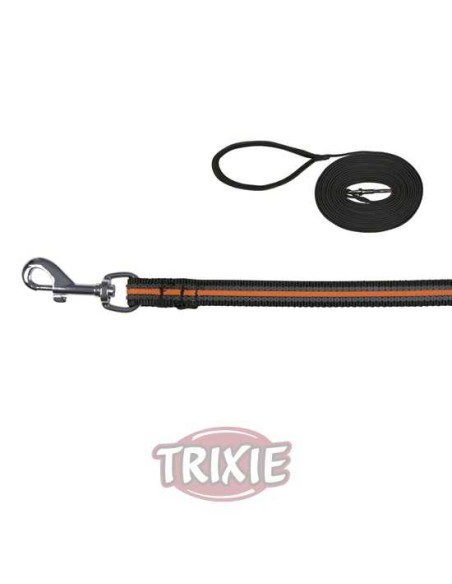 CORREA DE RASTREO FUSION TRIXIE