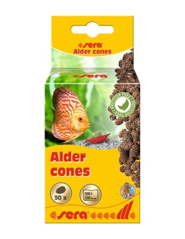 PIÑAS DE ALISO 50 UNIDADES SERA