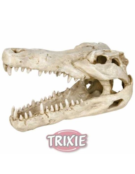 CRÁNEO DE COCODRILO TRIXIE - 14 CM