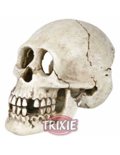 CRÁNEO TRIXIE - 15 CM