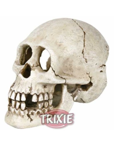 CRÁNEO TRIXIE - 15 CM
