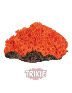 CORAL PARA ACUARIOS IV TRIXIE - 10 - 13 CM
