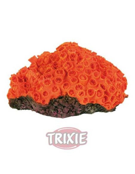 CORAL PARA ACUARIOS IV TRIXIE - 10 - 13 CM