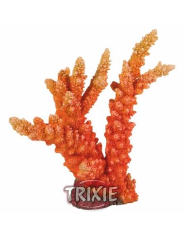 CORAL TRIXIE - 18 CM
