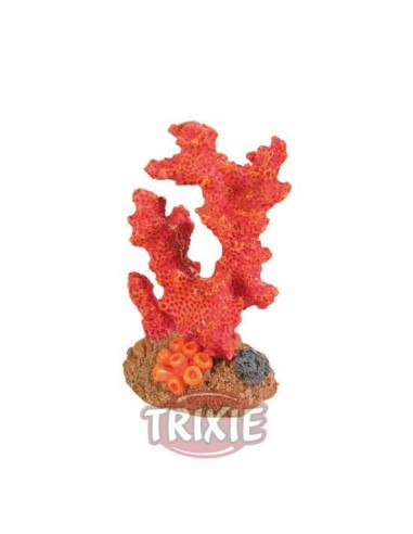 CORAL TRIXIE