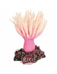 ANÉMONA MARINA TRIXIE - 11 CM