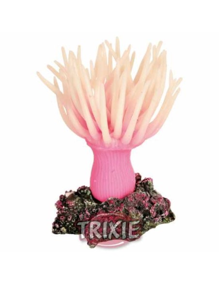 ANÉMONA MARINA TRIXIE - 11 CM