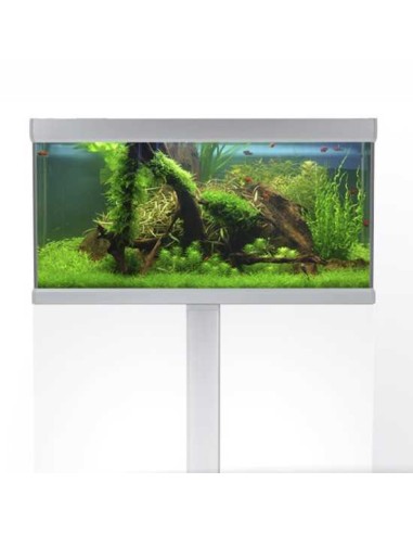 ACUARIO FUSION TRIXIE