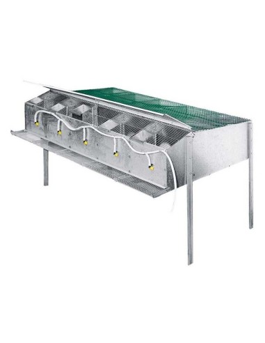 JAULA PARA CRÍA DE PERDICES COPELE