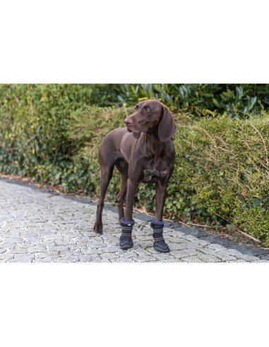 ANDADOR DE PROTECCIÓN DE PATAS ACTIVO LARGO (2...