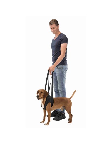 SOPORTE AYUDA ANDADOR PARA PERROS TRIXIE