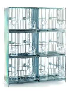 JAULA 6 DEPARTAMENTOS ZINCADA RSL