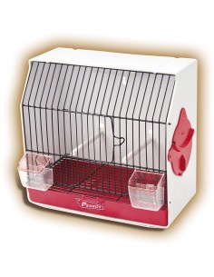 JAULA PEDROS CONCURSO CURIOSA PEDRÓS