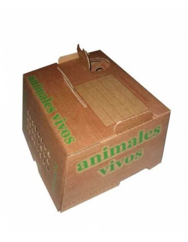 TRANSPORTIN MENSAJERÍA MENSACAB RSL