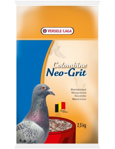 NEO GRIT VERSELE LAGA - 2,5 KG