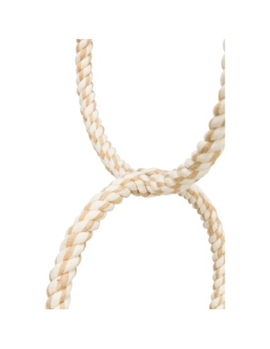 JUGUETE DE ARO CON CUERDA PARA PAJAROS TRIXIE -...